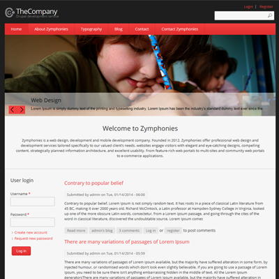 TheCompany Responsive Theme